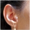 Διαπεραστικοα κοσμήματα 316 σκουλαρίκια 8mm αυτιών μορφής λουλουδιών χόνδρου αυτιών ανοξείδωτου